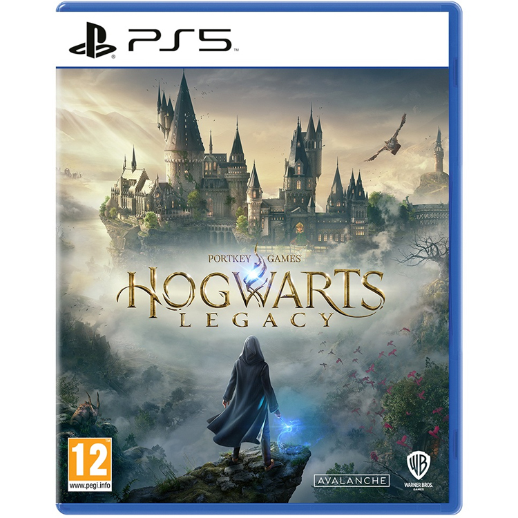 بازی Hogwarts Legacy برای PS5 کارکرده